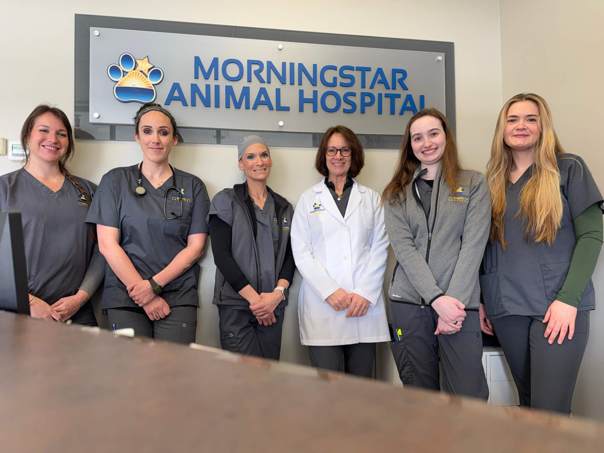 Kingston Veterinarian