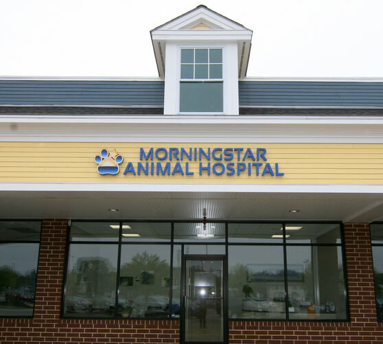 Kingston Veterinary Hospital